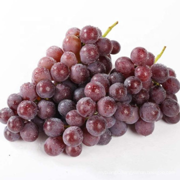 china product chinese fresh red table grape fruit seedless red globe crimson red color
